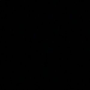 Meet your Posher, Angelina